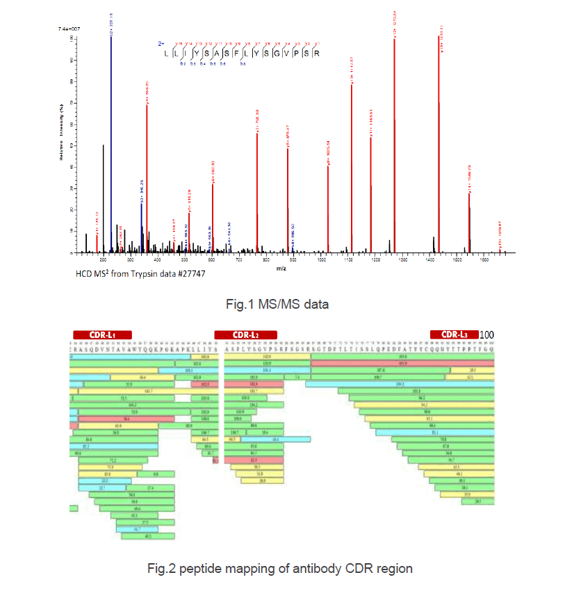 protein-de-novo-sequencing2.png