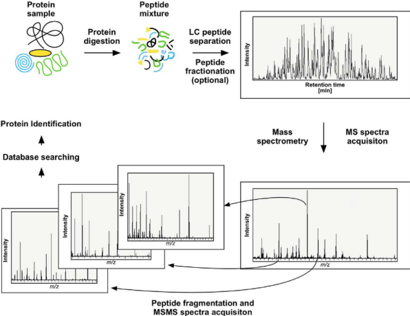 protein-full-sequence-coverage-analysis1.png