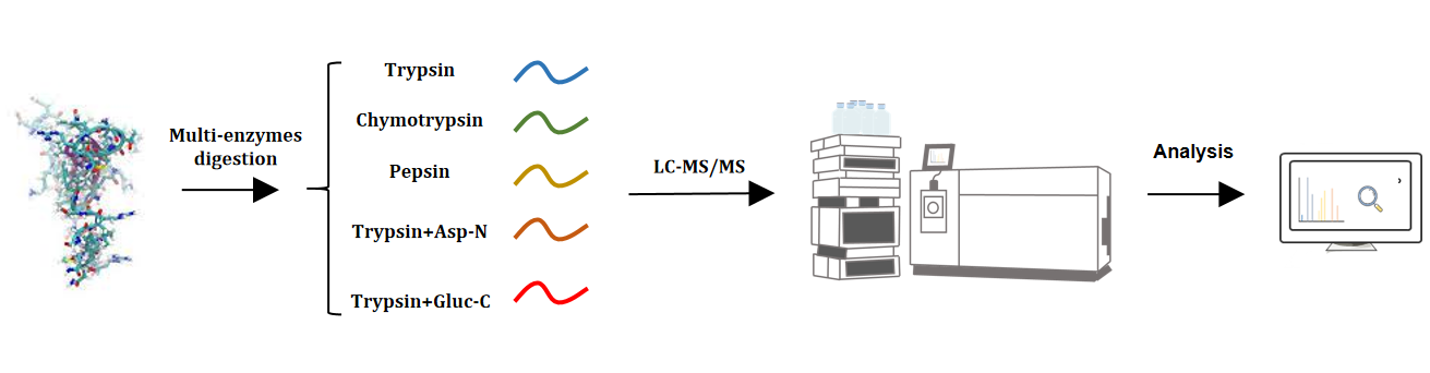 protein-full-sequence-coverage-analysis2.png