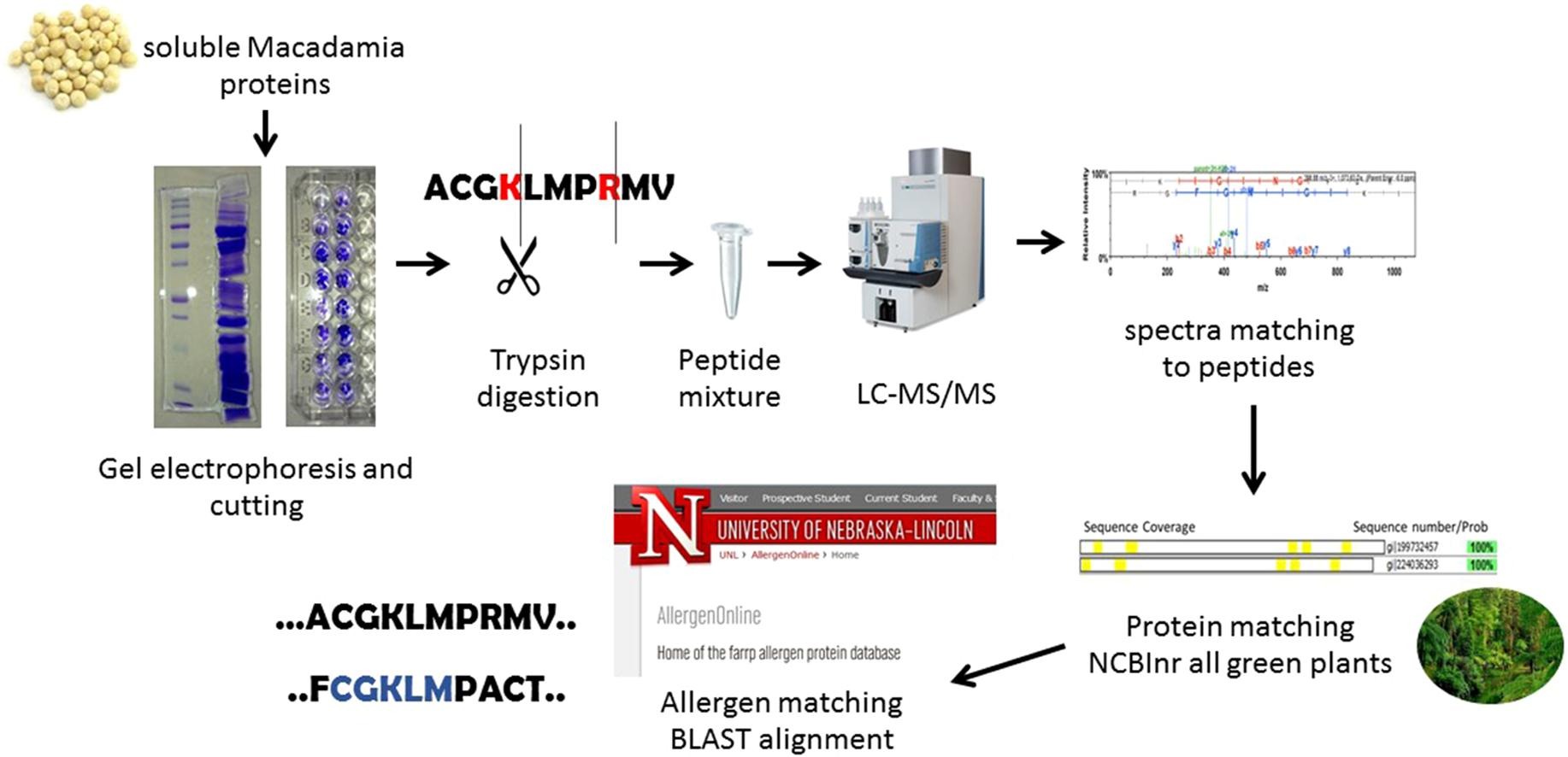 protein-full-spectrum-analysis-service1.jpg