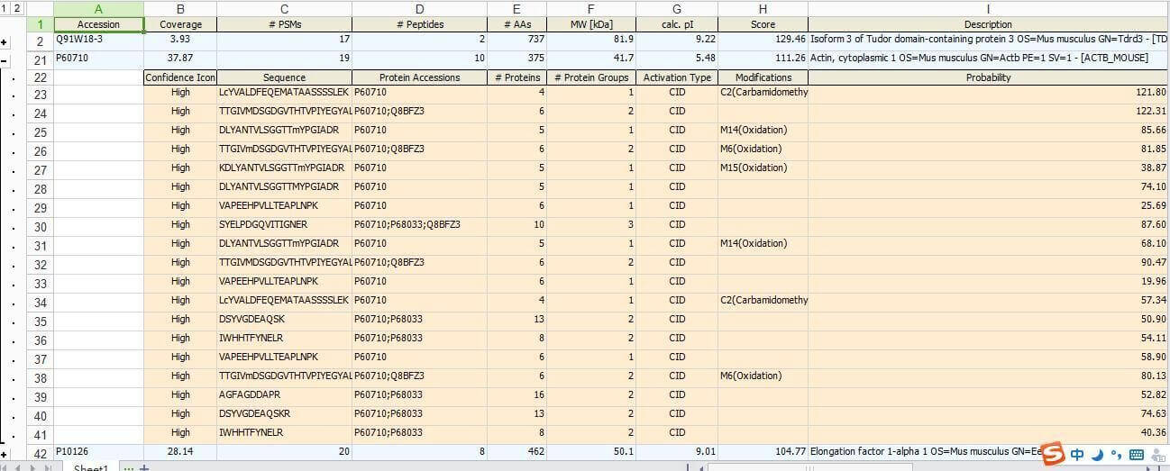 protein-identification-gel-spot-strip-ip1.png