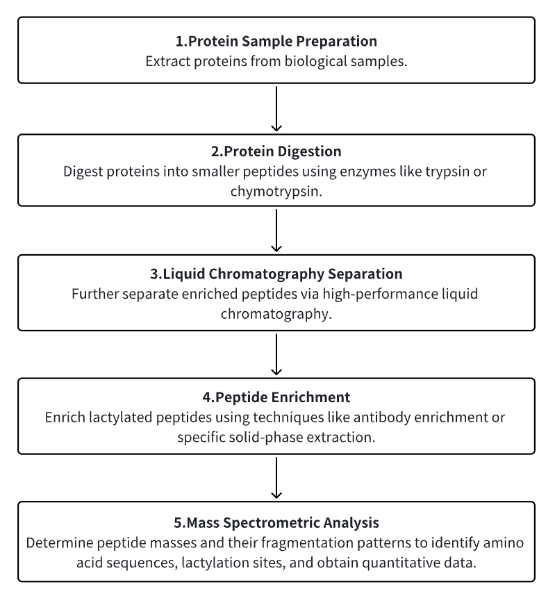 protein-lactylation-modification2.png