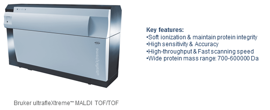 protein-mass-measurement1.png