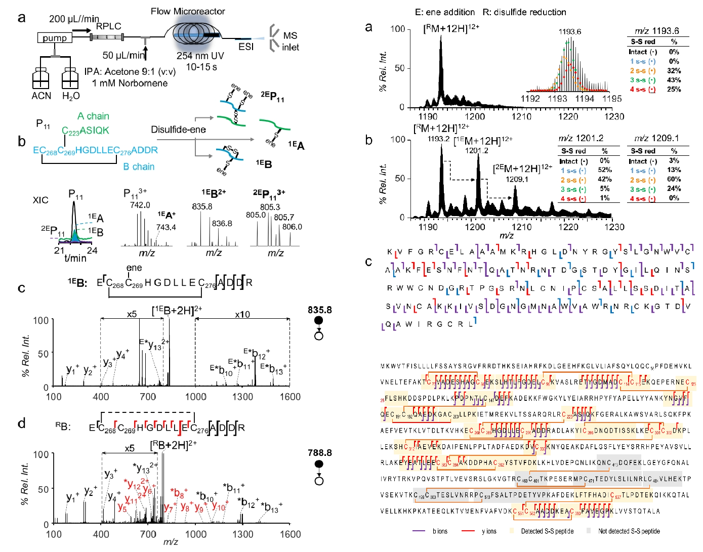 protein-primary-structure-analysis-service2.png