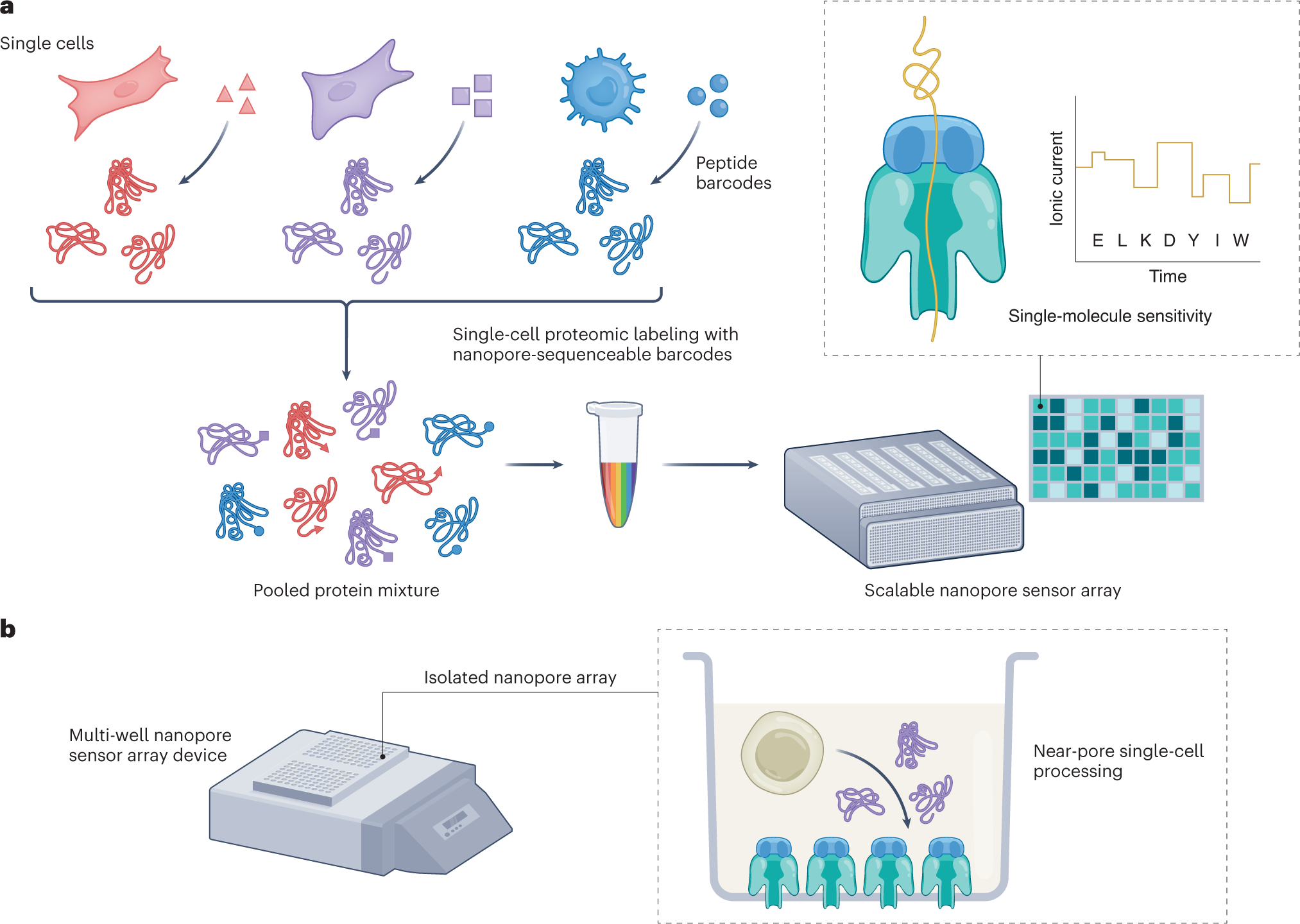 protein-sequencing-service3.png