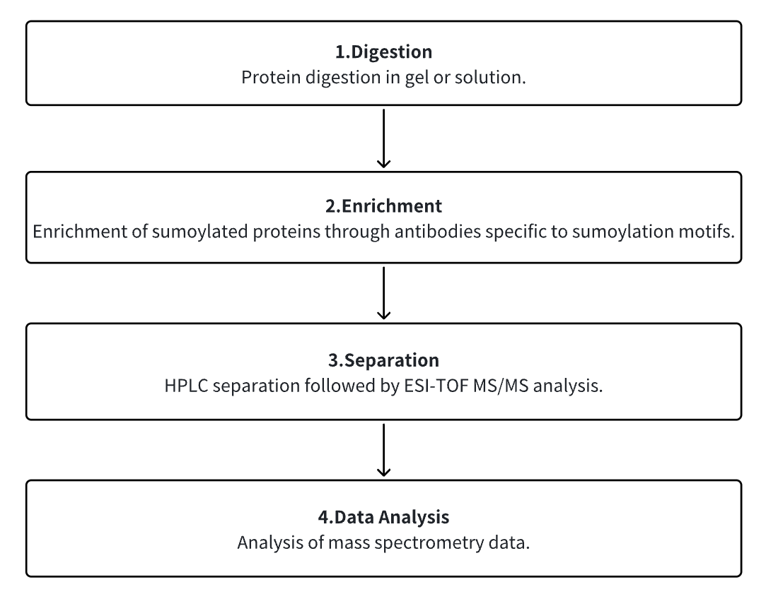 protein-sumoylation-identification2.png