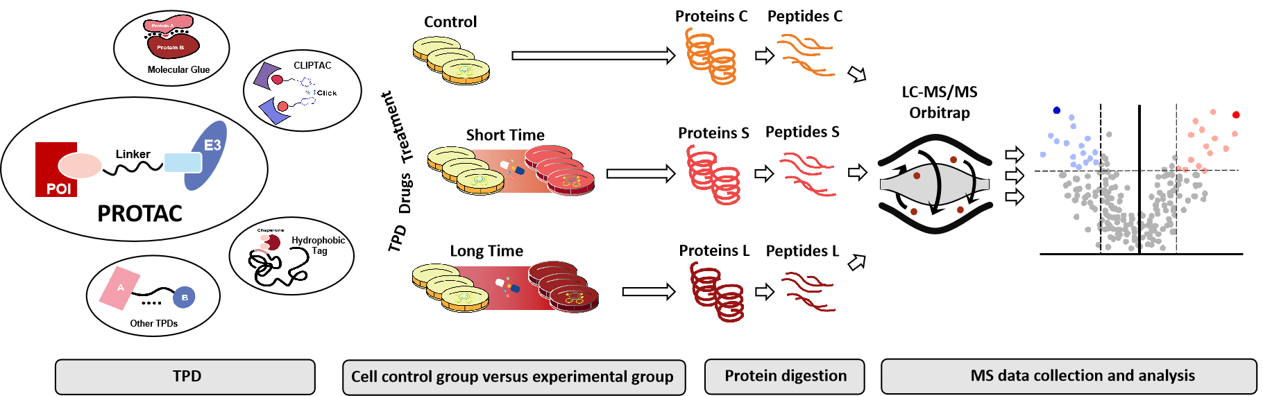 proteomic-analysis-of-targeting-performance-of-tpd-drugs1.png