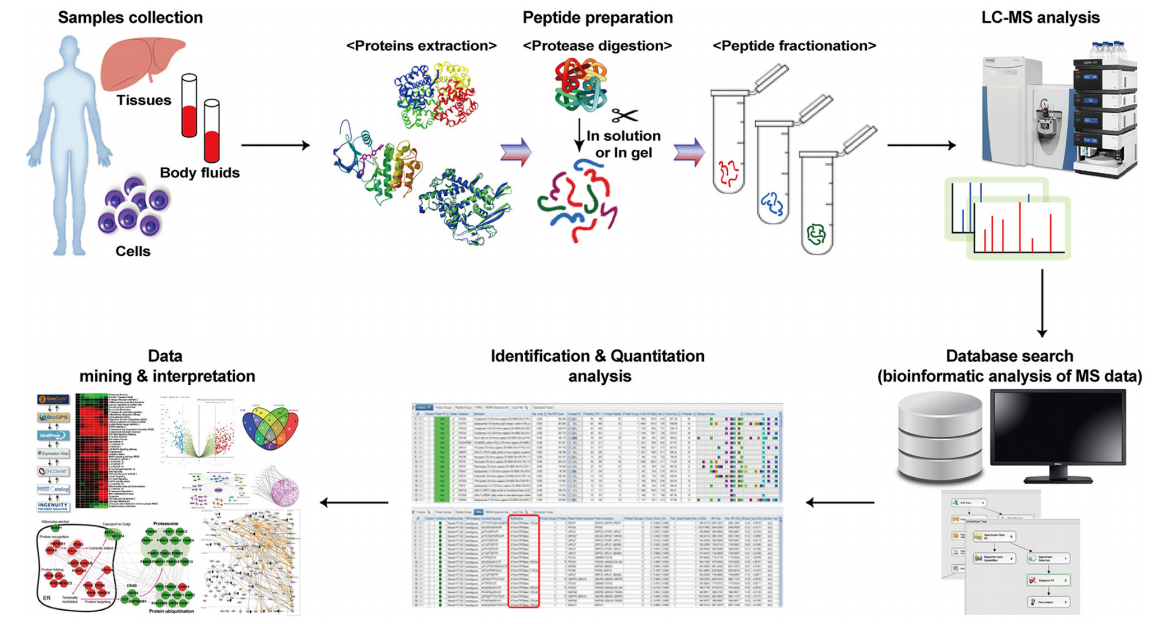 proteomics-based-on-ms-analysis-service1.PNG