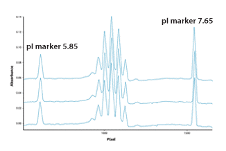 purity-analysis-of-peptides-or-proteins1.png