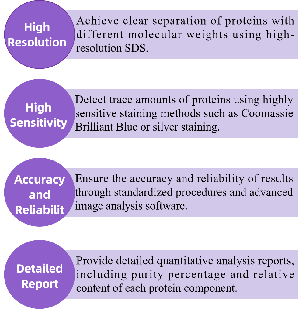 purity-analysis-sds-page2.png