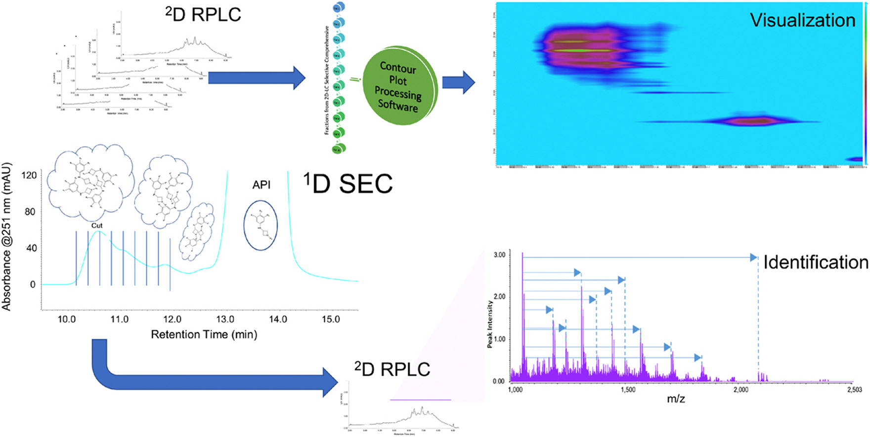 purity-analysis-sec-and-rplc1.jpg