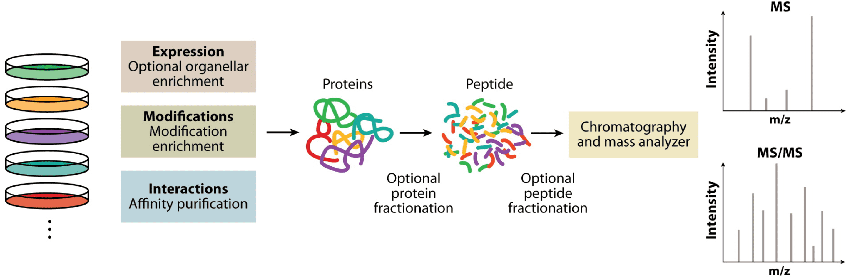 quantitative-proteomics-analysis1.png