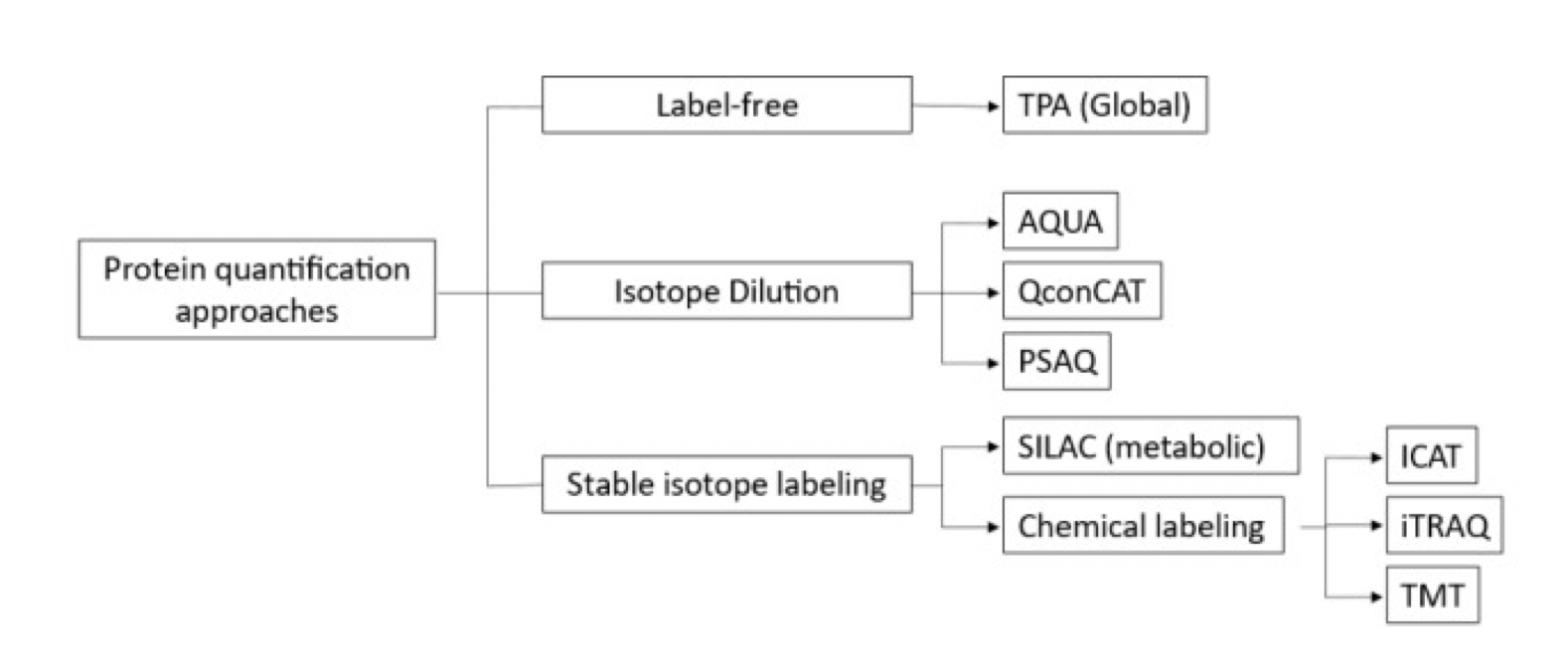 quantitative-proteomics-analysis2.png