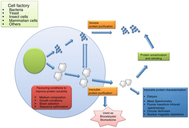 recombinant-protein-drug-analysis1.png