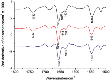 recombinant-protein-drug-analysis7.png