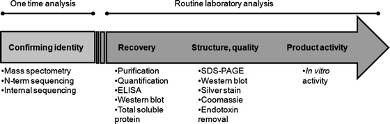 recombinant-protein-drug-analysis8.png