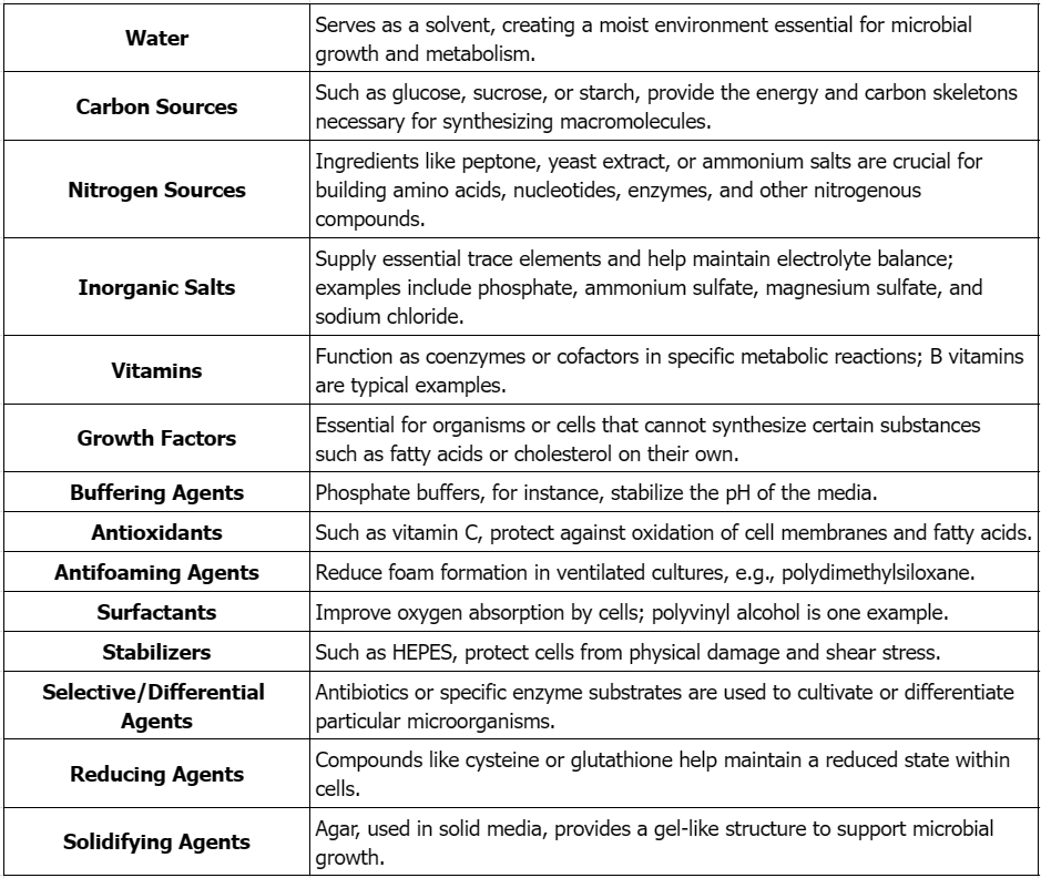 research-on-media-development-and-optimization1.png