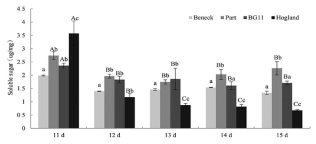 research-on-media-development-and-optimization4.png