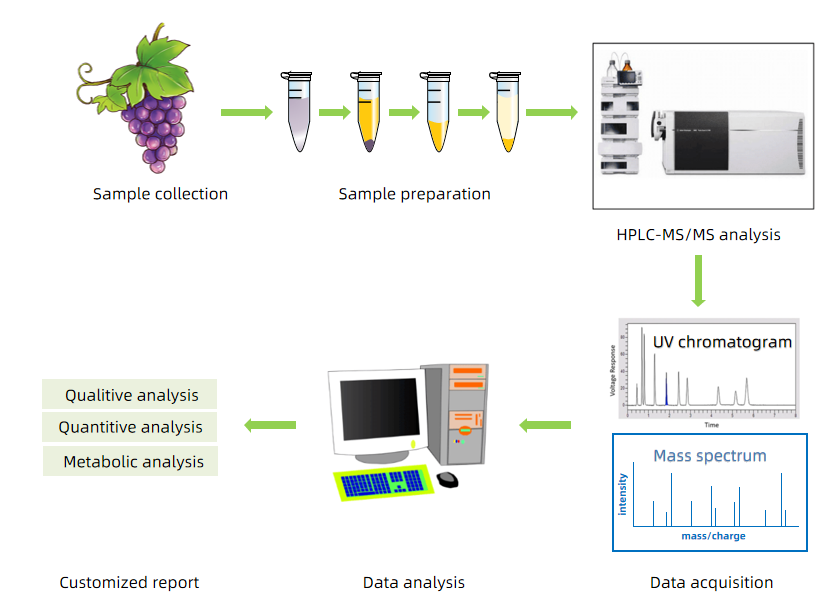 resveratrol-analysis1.PNG