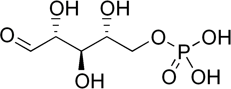 ribose-5-phosphate-analysis-service1.png