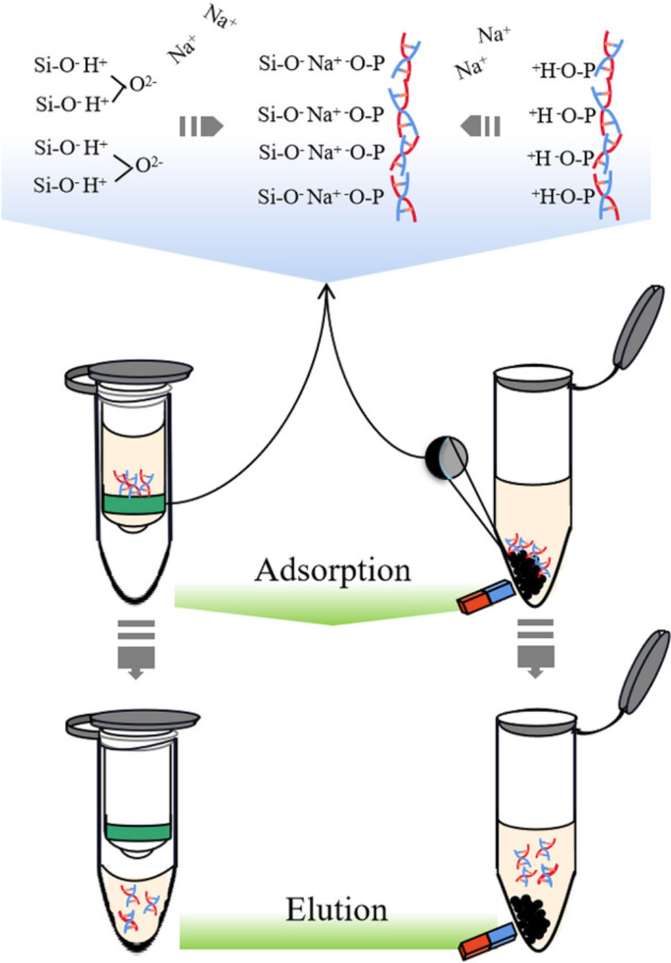 sample-preparation-kit2.png