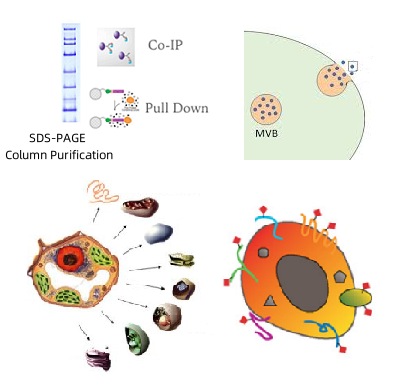 samples-proteomics1