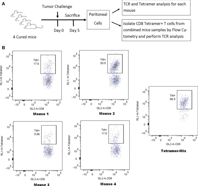 screening-of-tumor-associated-antigens-211.png