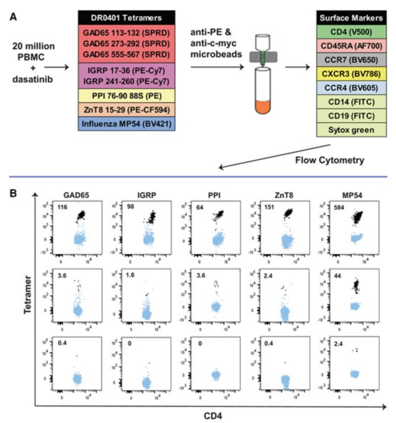 screening-of-tumor-associated-antigens-213.png