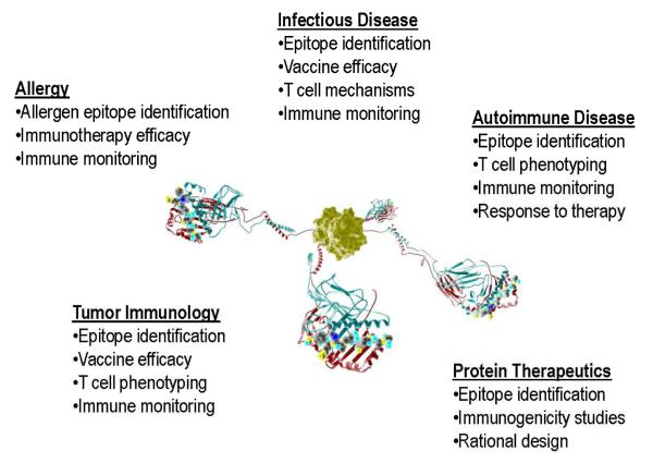 screening-of-tumor-associated-antigens-22.png