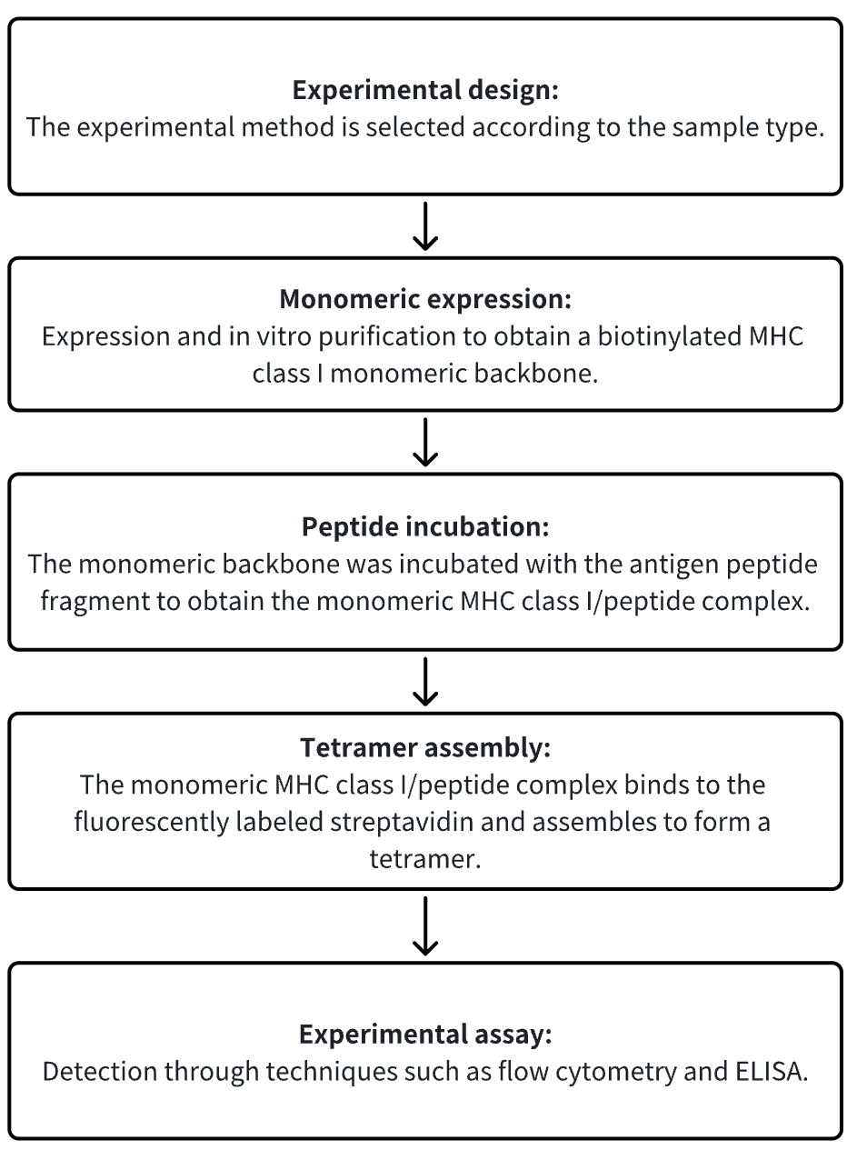 screening-of-tumor-associated-antigens-27.png