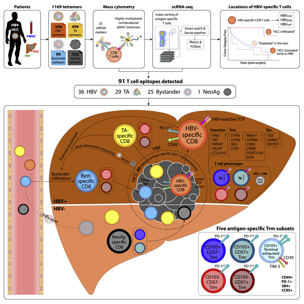 screening-of-tumor-associated-antigens-28.png