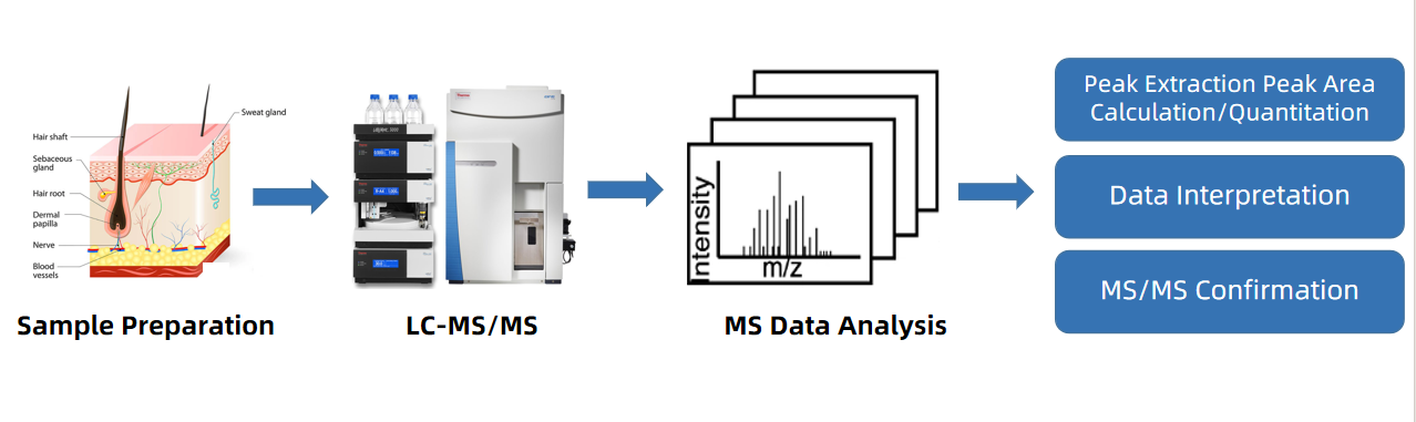 sebum-metabolomics-service1.png