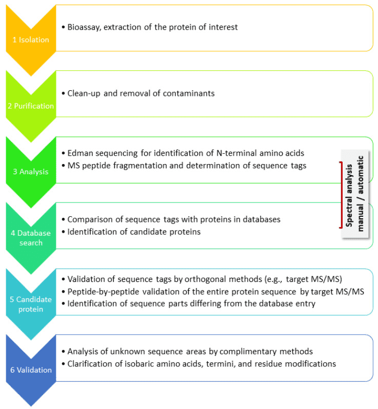 sequence-and-mutation-analysis-service-of-unknown-proteins-or-peptides1.png