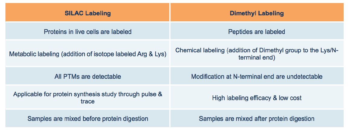 silac-dimethyl3.png