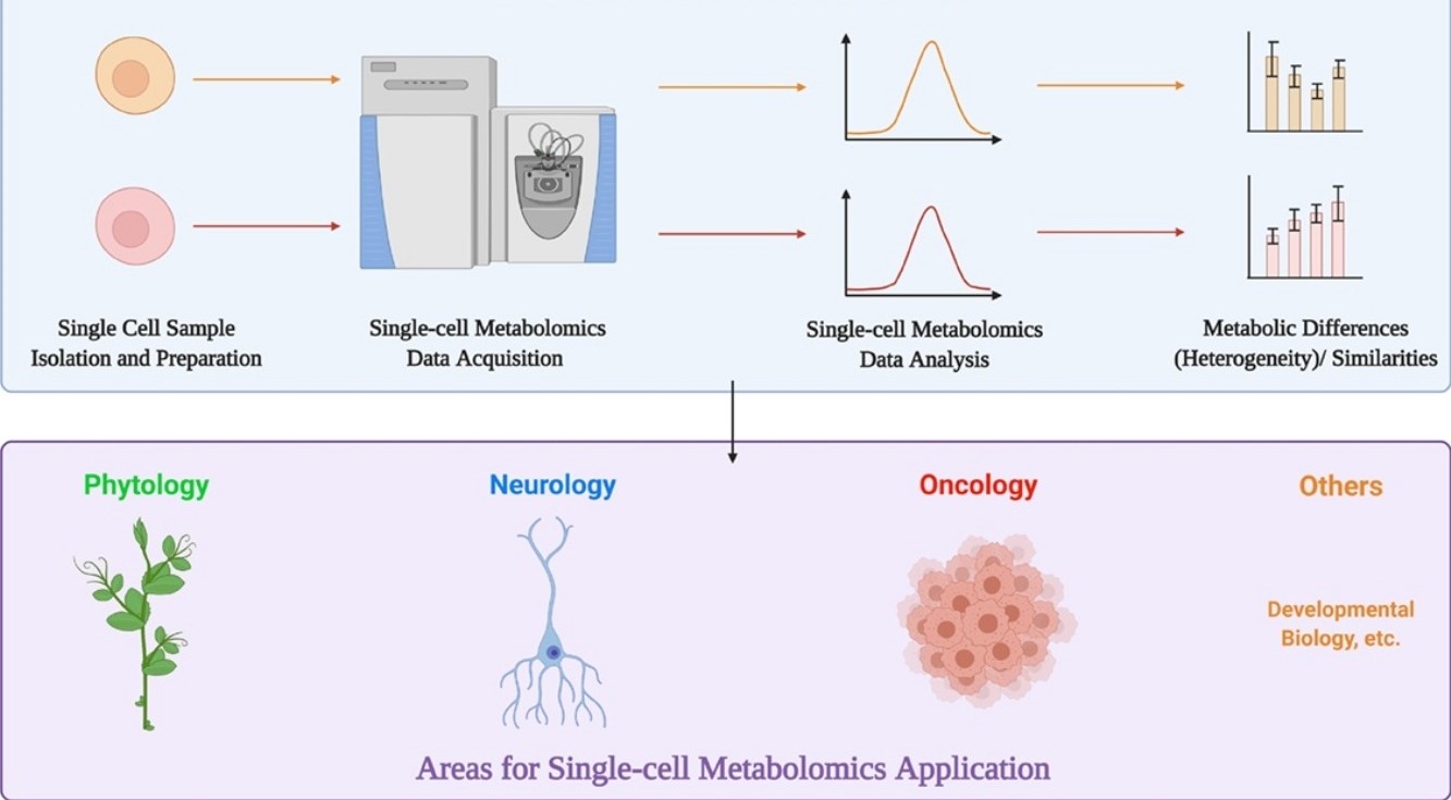 single-cell-metabolomics-service1.jpg