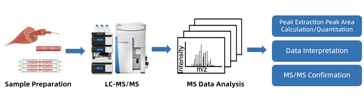 skeletal-muscle-metabolomics-service1.png