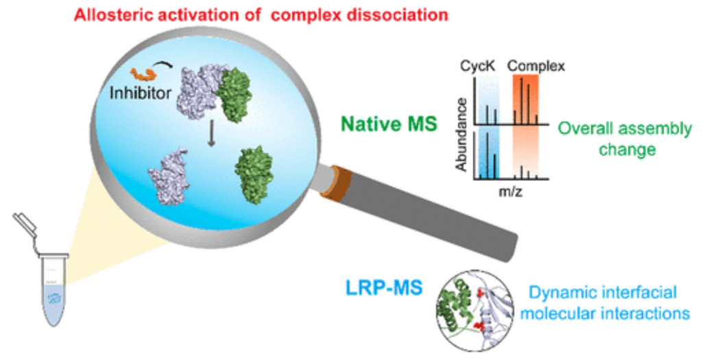 small-molecule-actives-identification-and-quantification8.png