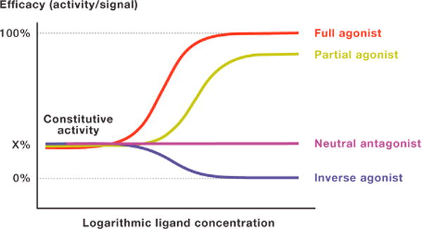 small-molecule-dru-screening2.png