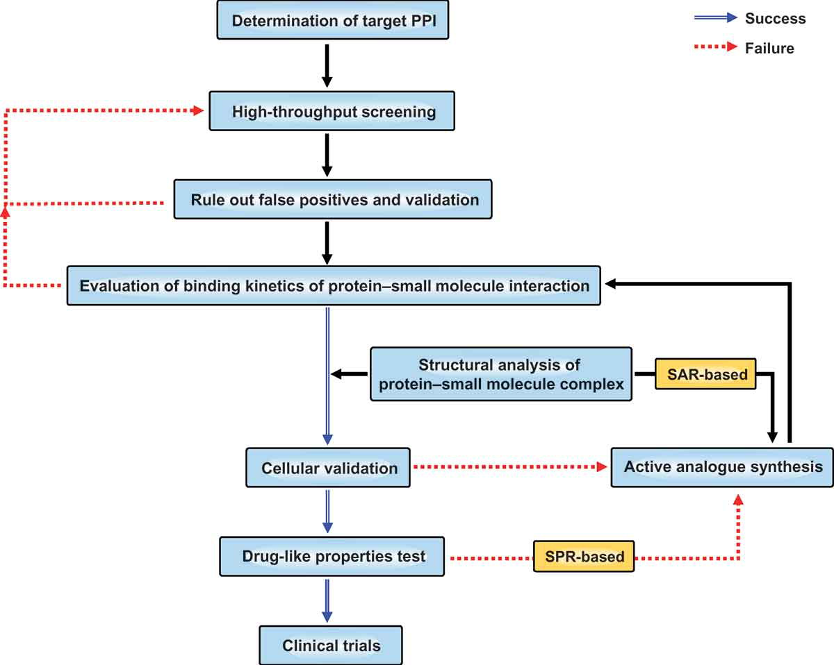 small-molecule-dru-screening3.png