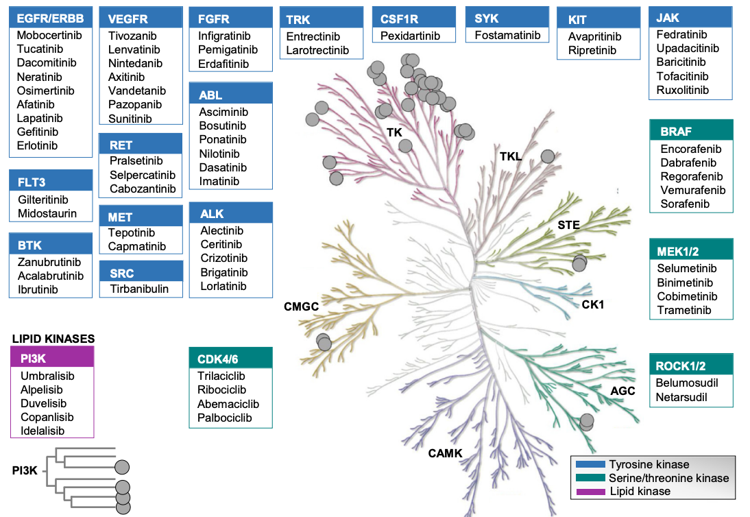 small-molecule-drug-screening-enzymes1.png