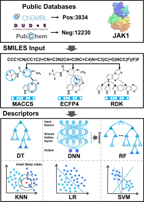 small-molecule-drug-screening-enzymes11.jpg