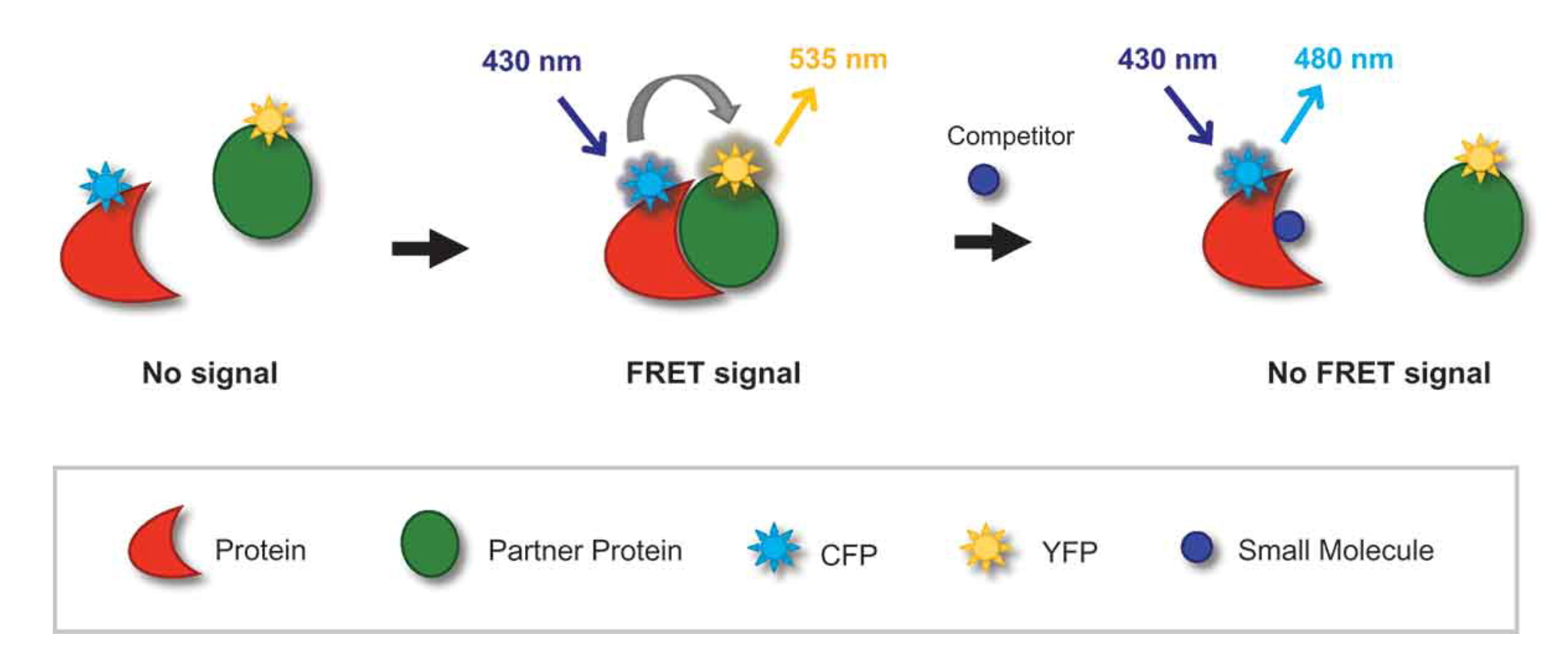 small-molecule-drug-screening-enzymes4.png