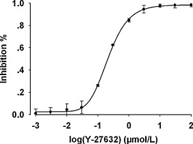 small-molecule-drug-screening-enzymes9.jpg