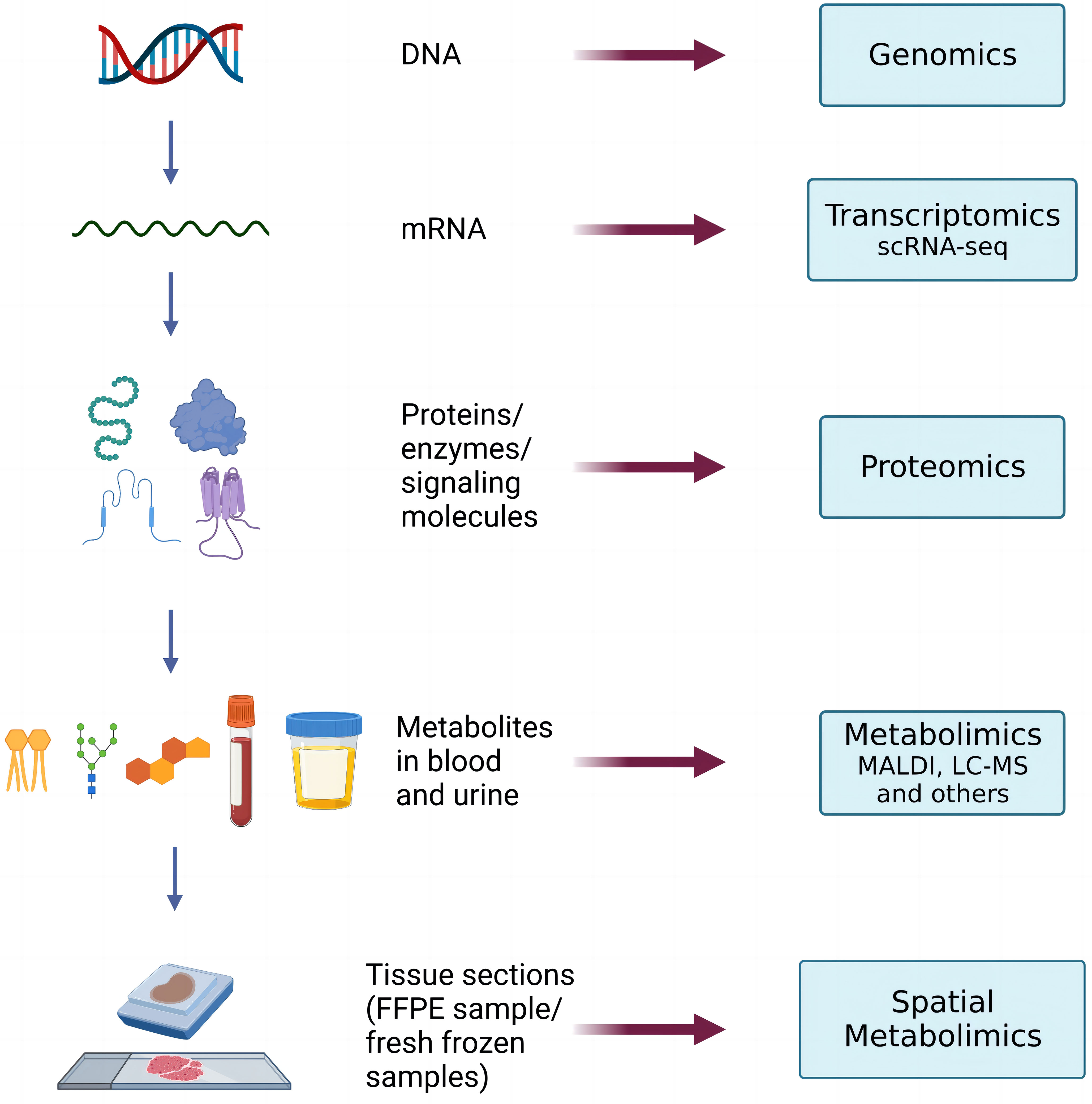 spatial-metabolomics-service1.jpg