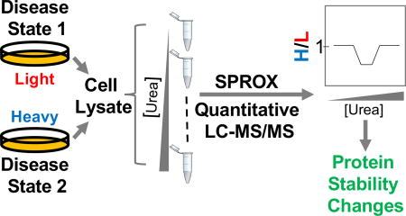 stability-of-proteins-from-rates-of-oxidation-sprox7.png