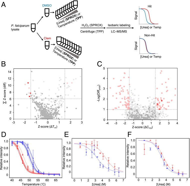 stability-of-proteins-from-rates-of-oxidation-sprox8.png