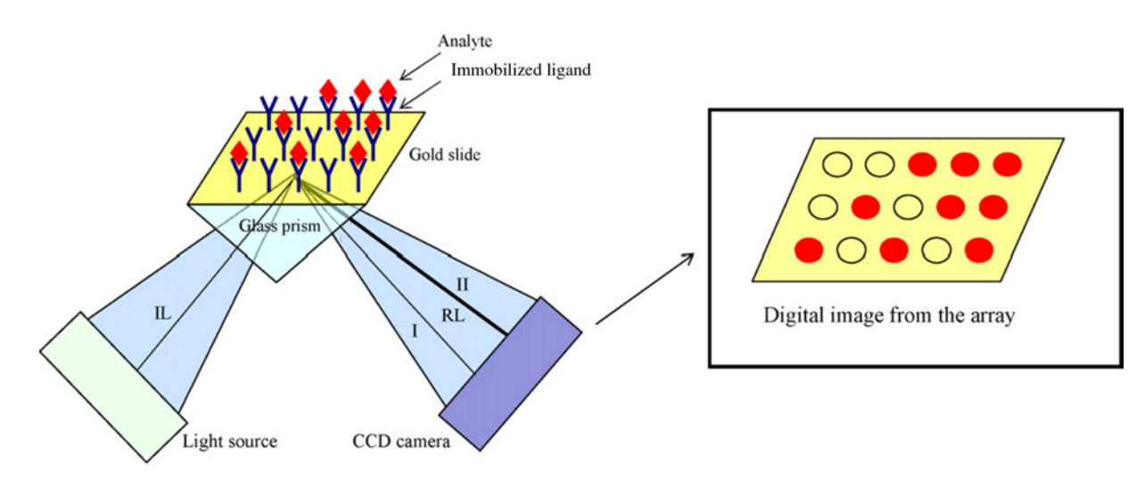 surface-plasmon-resonance-technology2.png