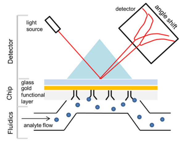 surface-plasmon-resonance-technology3.png