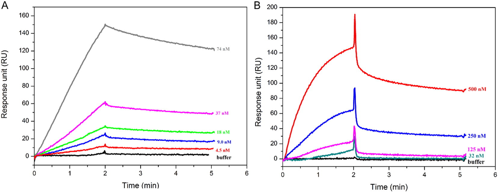 surface-plasmon-resonance-technology7.png