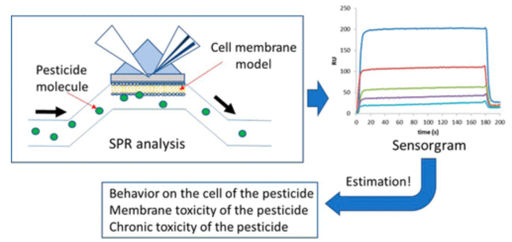 surface-plasmon-resonance-technology8.png